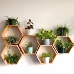 Deep Hexagon Shelves, Honeycomb  Geometric Shelves